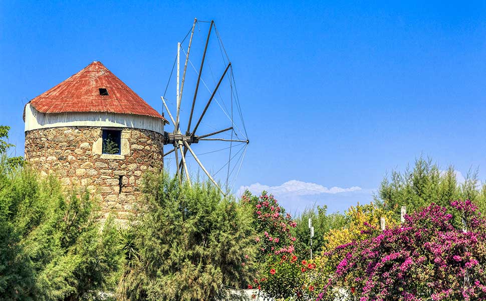Windmill In Lambi