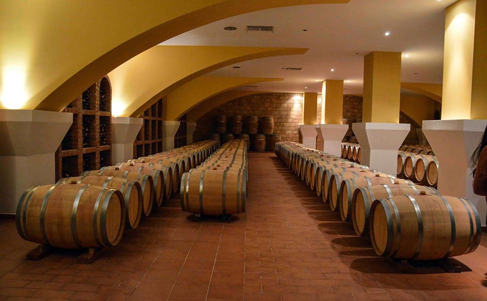 French oak barrels, for the aging of wines.